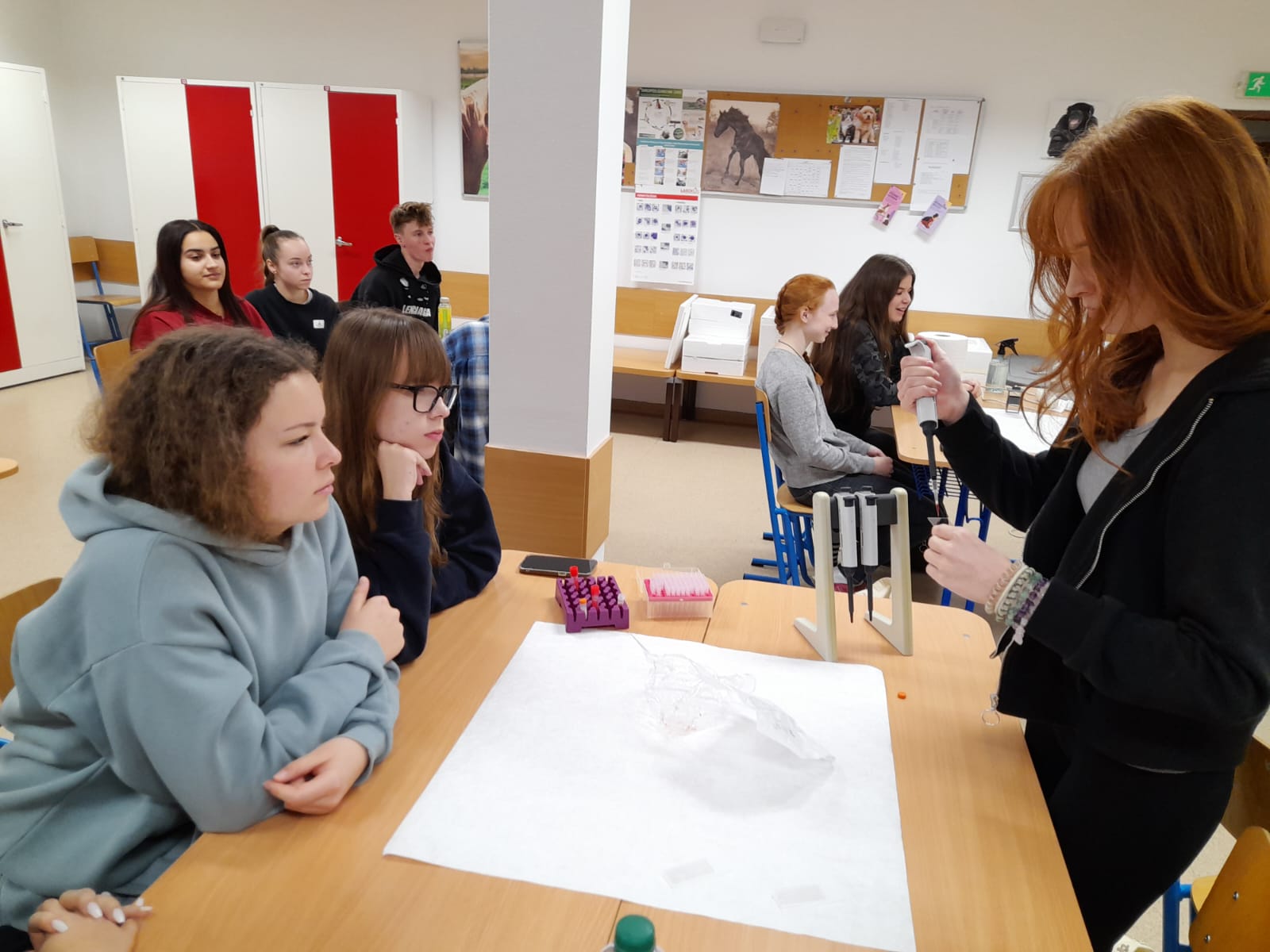 WhatsApp Image 2025-12-02 at 16.30.50.jpeg